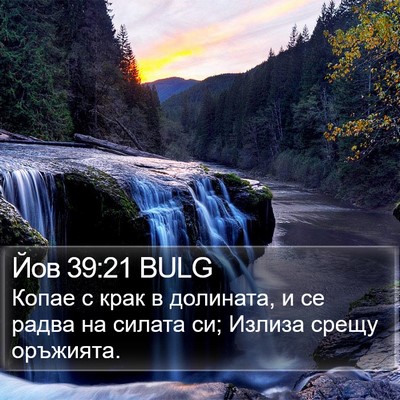 Йов 39:21 BULG Bible Verse Image