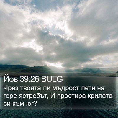 Йов 39:26 BULG Bible Verse Image