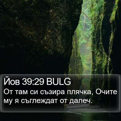 Йов 39:29 BULG Bible Verse Image