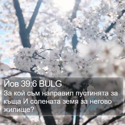 Йов 39:6 BULG Bible Verse Image