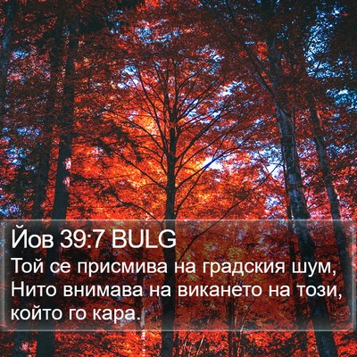 Йов 39:7 BULG Bible Verse Image