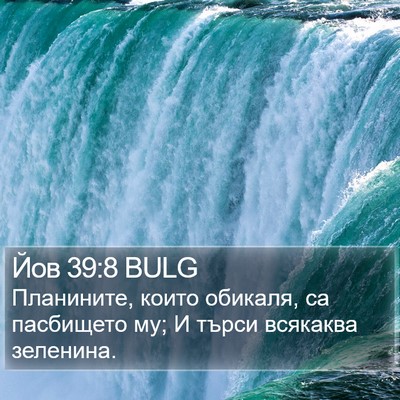 Йов 39:8 BULG Bible Verse Image