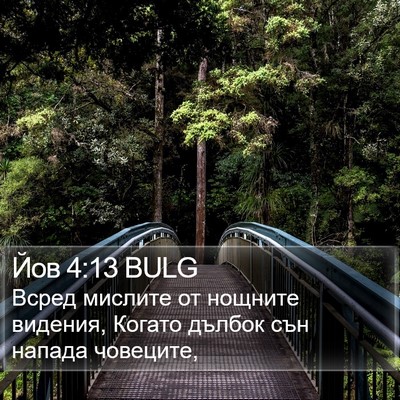 Йов 4:13 BULG Bible Verse Image