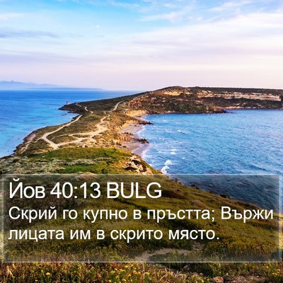 Йов 40:13 BULG Bible Verse Image
