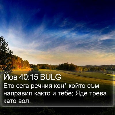 Йов 40:15 BULG Bible Verse Image
