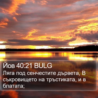 Йов 40:21 BULG Bible Verse Image