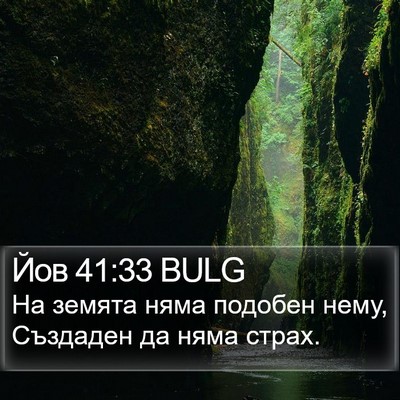 Йов 41:33 BULG Bible Verse Image