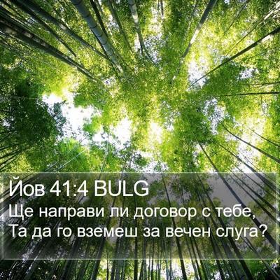 Йов 41:4 BULG Bible Verse Image