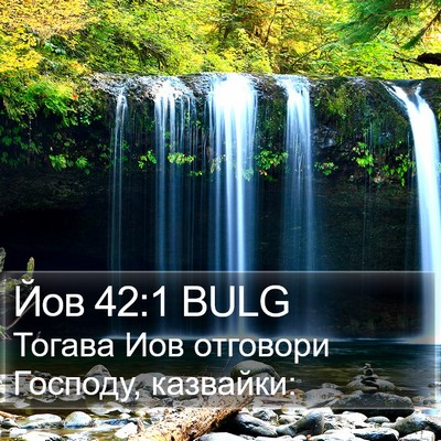 Йов 42:1 BULG Bible Verse Image