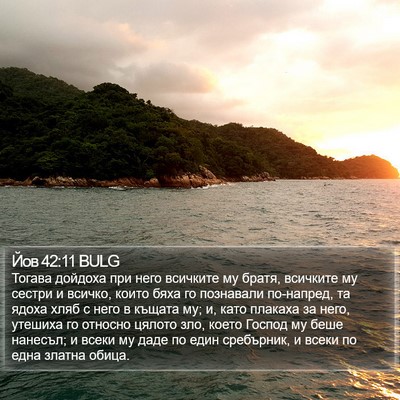 Йов 42:11 BULG Bible Verse Image