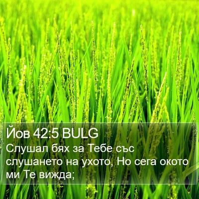 Йов 42:5 BULG Bible Verse Image