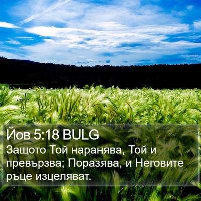 Йов 5:18 BULG Bible Verse Image