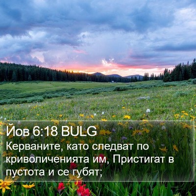 Йов 6:18 BULG Bible Verse Image