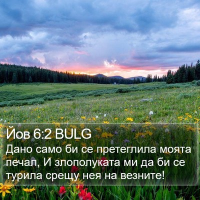 Йов 6:2 BULG Bible Verse Image