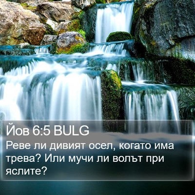 Йов 6:5 BULG Bible Verse Image