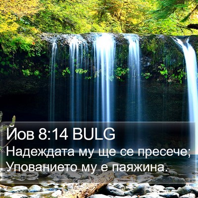 Йов 8:14 BULG Bible Verse Image