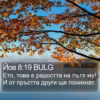 Йов 8:19 BULG Bible Verse Image