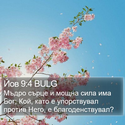 Йов 9:4 BULG Bible Verse Image