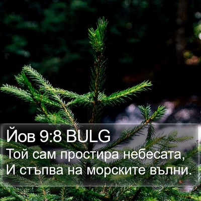 Йов 9:8 BULG Bible Verse Image