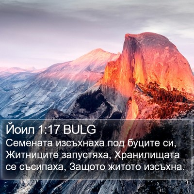 Йоил 1:17 BULG Bible Verse Image