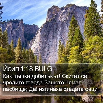 Йоил 1:18 BULG Bible Verse Image
