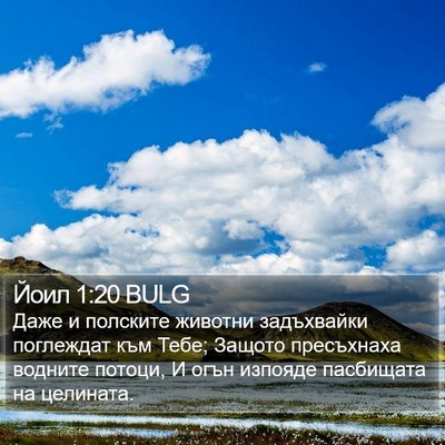 Йоил 1:20 BULG Bible Verse Image