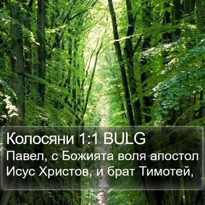 Колосяни 1:1 BULG Bible Verse Image