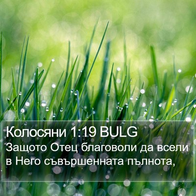 Колосяни 1:19 BULG Bible Verse Image