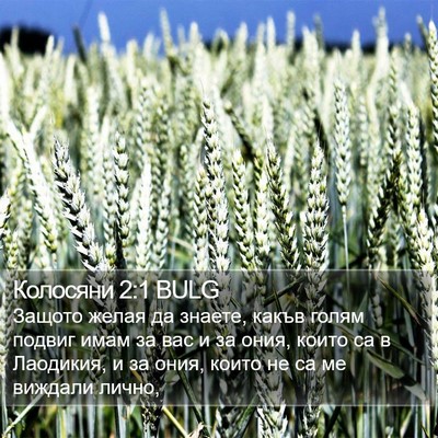 Колосяни 2:1 BULG Bible Verse Image