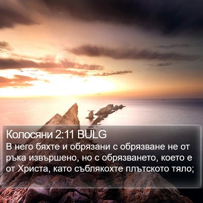 Колосяни 2:11 BULG Bible Verse Image