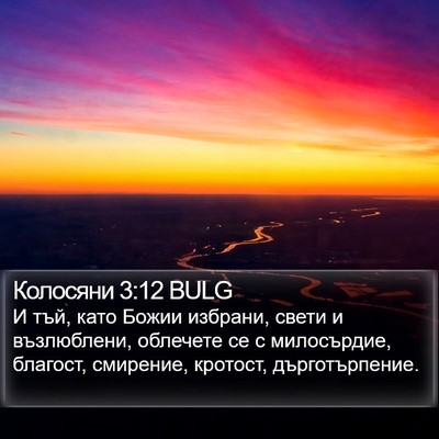 Колосяни 3:12 BULG Bible Verse Image