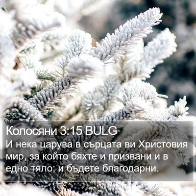 Колосяни 3:15 BULG Bible Verse Image