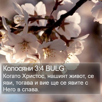 Колосяни 3:4 BULG Bible Verse Image