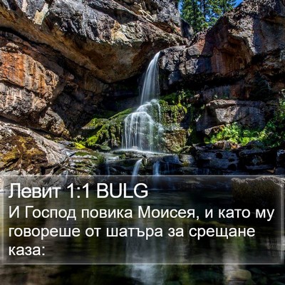 Левит 1:1 BULG Bible Verse Image