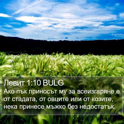 Левит 1:10 BULG Bible Verse Image