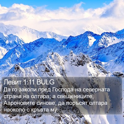Левит 1:11 BULG Bible Verse Image