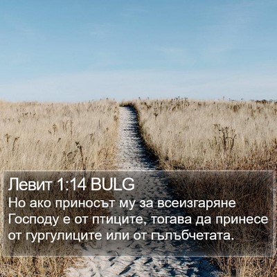 Левит 1:14 BULG Bible Verse Image