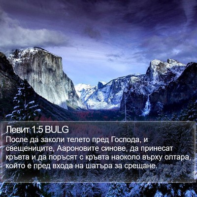 Левит 1:5 BULG Bible Verse Image