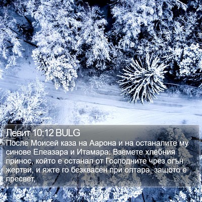 Левит 10:12 BULG Bible Verse Image