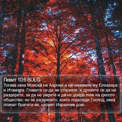 Левит 10:6 BULG Bible Verse Image