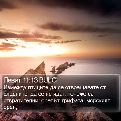 Левит 11:13 BULG Bible Verse Image