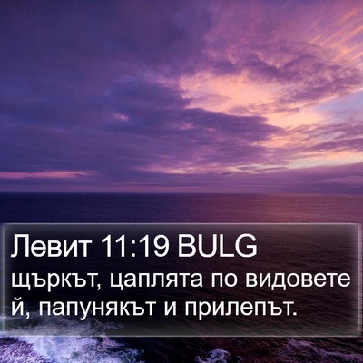 Левит 11:19 BULG Bible Verse Image