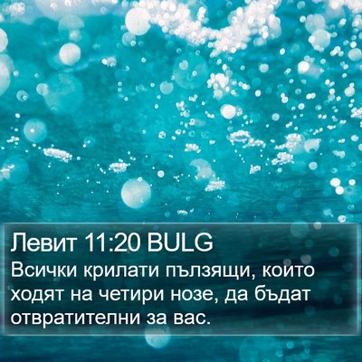 Левит 11:20 BULG Bible Verse Image