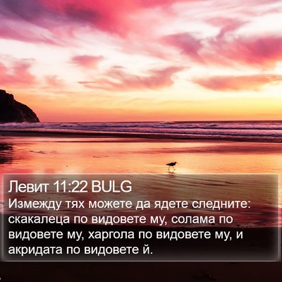 Левит 11:22 BULG Bible Verse Image