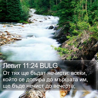 Левит 11:24 BULG Bible Verse Image