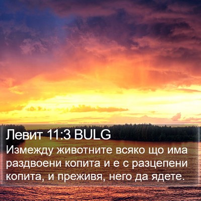 Левит 11:3 BULG Bible Verse Image