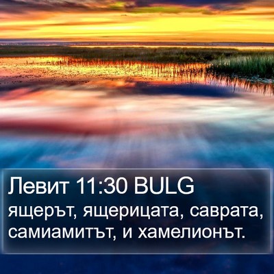 Левит 11:30 BULG Bible Verse Image
