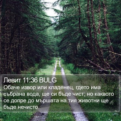 Левит 11:36 BULG Bible Verse Image