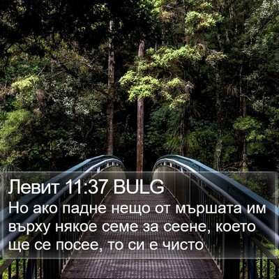 Левит 11:37 BULG Bible Verse Image