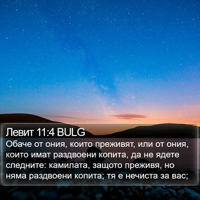 Левит 11:4 BULG Bible Verse Image